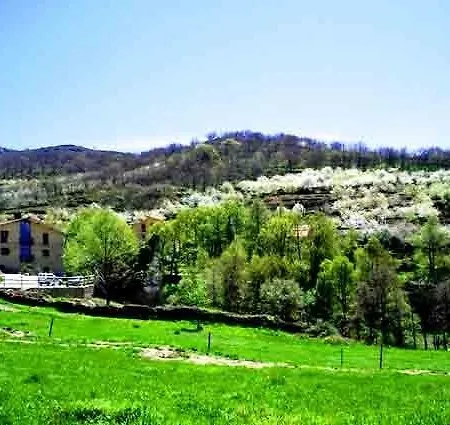 Aurora Boreal Casas del Monte