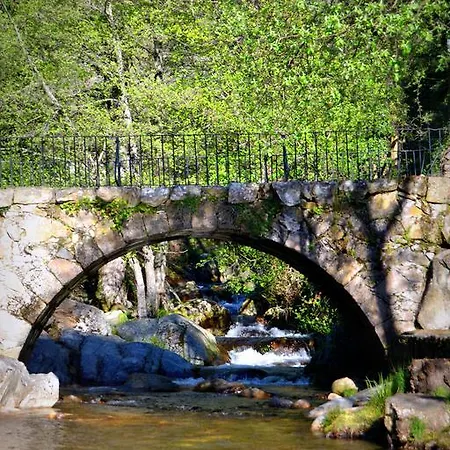 Aurora Boreal ゲストハウス