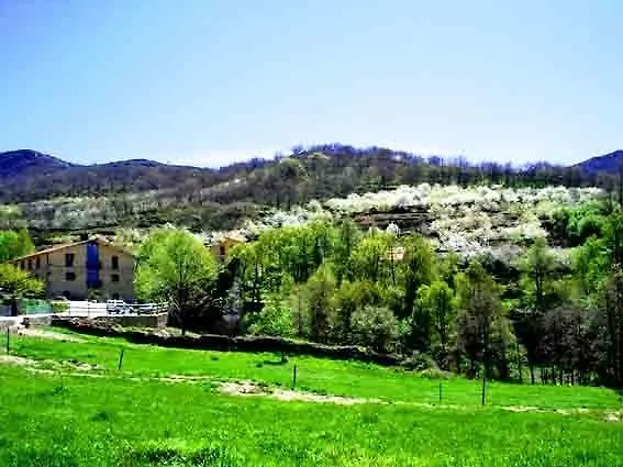 Aurora Boreal Casas del Monte