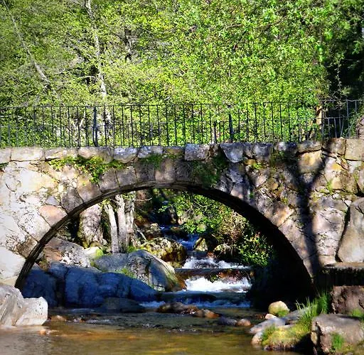 Aurora Boreal Maison d'hôtes